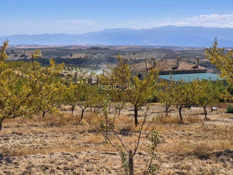 Foto 0c4e8c93-f074-4630-ae79-9db410f88888. Finca rústica a Alhama de Granada