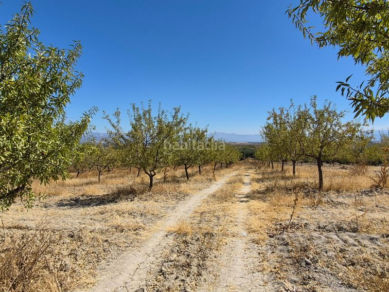 Foto 41706379-4aa0-45ca-84e6-78425abaf425. Finca rústica a Alhama de Granada