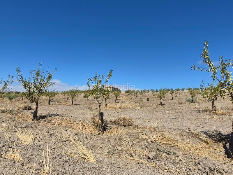 Foto b71ebe35-7897-40b0-8215-013179ff723e. Finca rústica a Alhama de Granada
