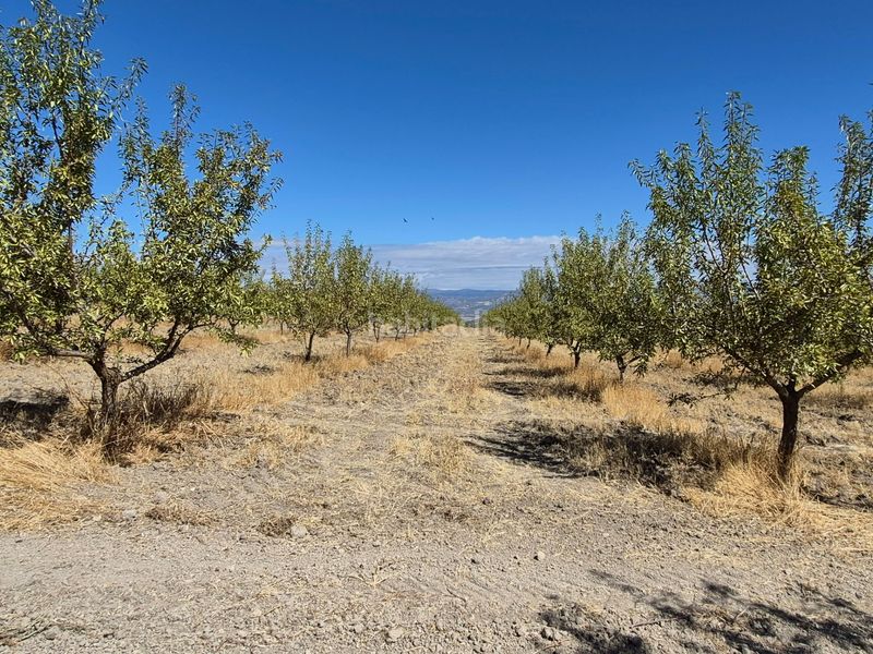 Foto db630541-f02b-4e51-aaff-62b217e5159a. Finca rústica a Alhama de Granada