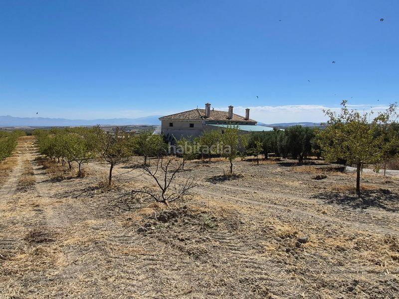 Foto e502e482-f066-4267-9c11-4fc4808e258e. Finca rústica a Alhama de Granada