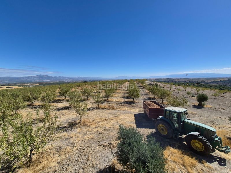 Foto e6ba21bf-84e5-4a9a-a598-409d825c151a. Finca rústica a Alhama de Granada