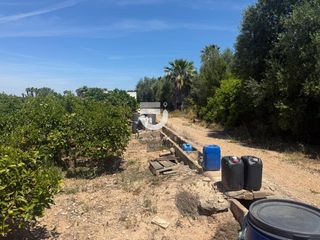 Finca rústica a Partida La Marjal