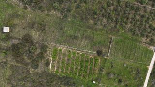 Fondo rustico  Barxeta. Finca rústica en barxeta  naturaleza, privacidad y potencial
