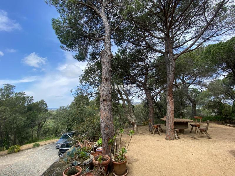 Foto 745df529-c04c-49be-8236-1383872365ec. House with heating parking in Castell d´Aro