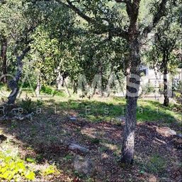 Foto 50230b6e-3b42-405a-9121-4193c82d466b. Terrain résidentiel dans Cabanyes-Mas Ambrós-Mas Pallí Calonge