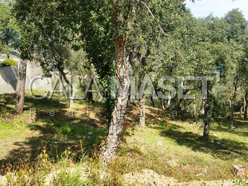 Foto 956263aa-42e1-4427-bf26-635d44c205f9. Terreno residenziale in Cabanyes-Mas Ambrós-Mas Pallí Calonge