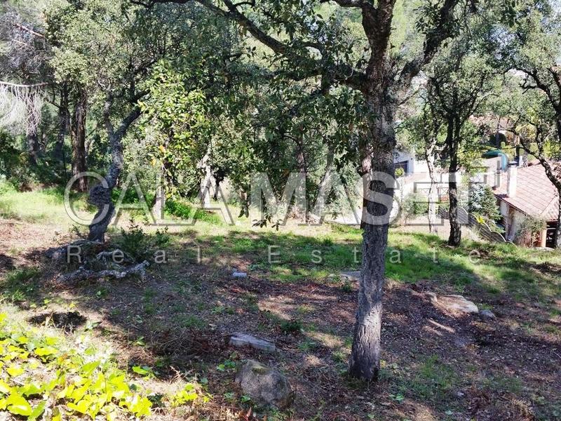 Foto b1155d82-28e9-4a66-aa95-01e804437e3a. Terreno residenziale in Cabanyes-Mas Ambrós-Mas Pallí Calonge