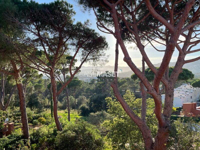 Foto 5a094108-1c0e-45c4-b5c7-672fb6a42f01. Casa a schiera con parcheggio in Los Pinos-Politur Platja d´Aro