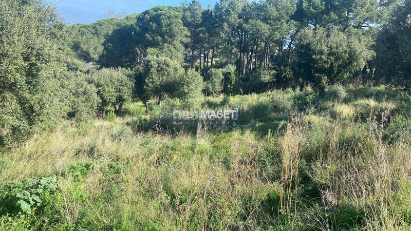 Foto 65226a68-1ee4-4af2-8c8e-857bf379eeac. Terreno residenziale in Urbanitzacions Platja d´Aro