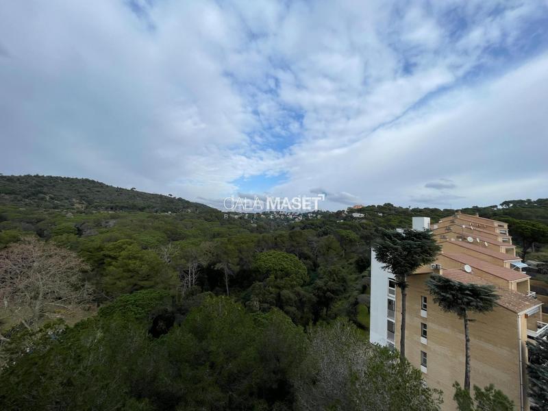 Foto 0d650a3d-2aef-480c-9ffa-ac5bcf91fe9b. Location studio avec parking dans Los Pinos-Politur Platja d´Aro