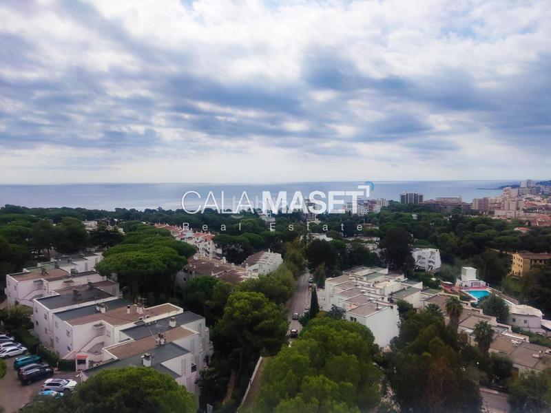 Foto 4ad0d365-7450-483d-b32a-7e2e5fe7d5e2. Apartament amb aparcament a Los Pinos-Politur Platja d´Aro