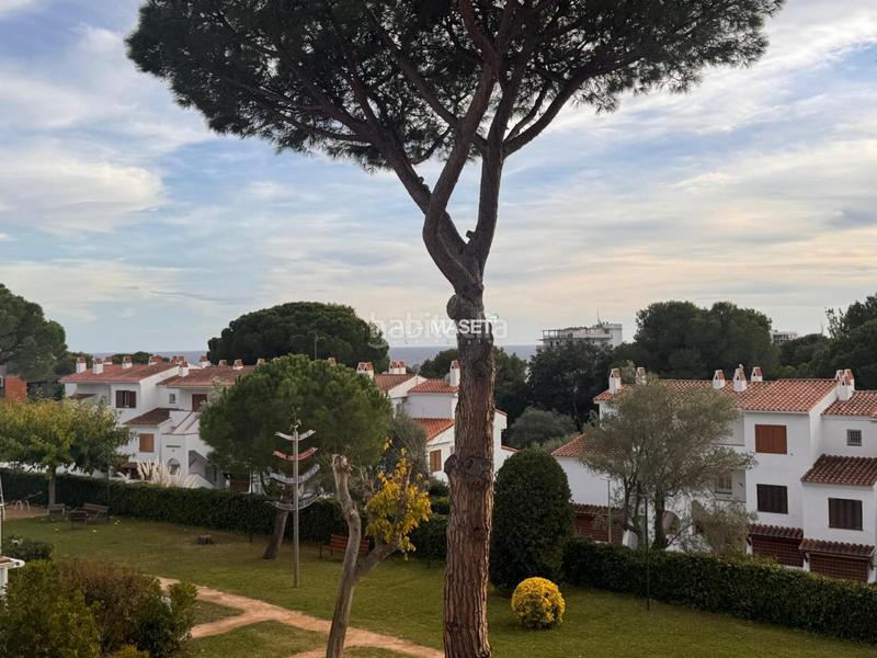 Foto 6791f3d7-0db5-4621-82e8-6cc7122761a7. Appartement dans Los Pinos-Politur Platja d´Aro
