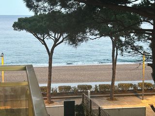 Miete Appartement in Centre-Platja. Despierta frente al mediterráneo, vive platja daro desde primera