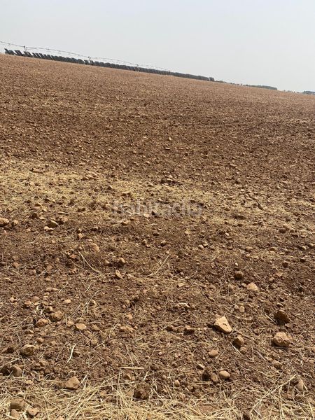 Foto 7a83d726-4495-41b6-9694-c7e52ba50a81. Finca rústica a Argamasilla de Alba