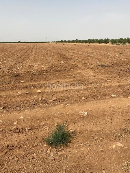 Foto bbd6e1a2-29b8-4a47-9121-c71c0cf724bc. Finca rústica a Argamasilla de Alba