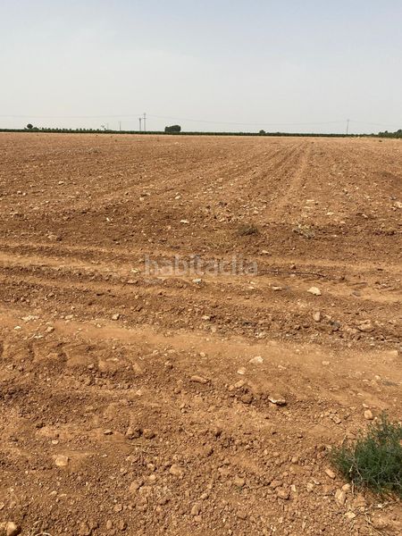 Foto cac7e5f3-1b00-41b3-bcd6-9055301894ff. Finca rústica a Argamasilla de Alba