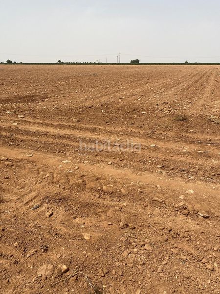 Foto f9089079-6d64-49b0-bd87-a9407c4207ab. Finca rústica a Argamasilla de Alba
