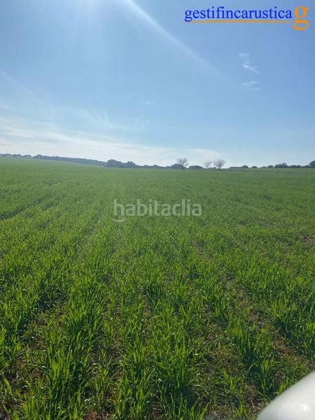 Foto b52f48b6-8a76-4a1f-ac4b-0068f65752f4. Finca rústica a Argamasilla de Alba