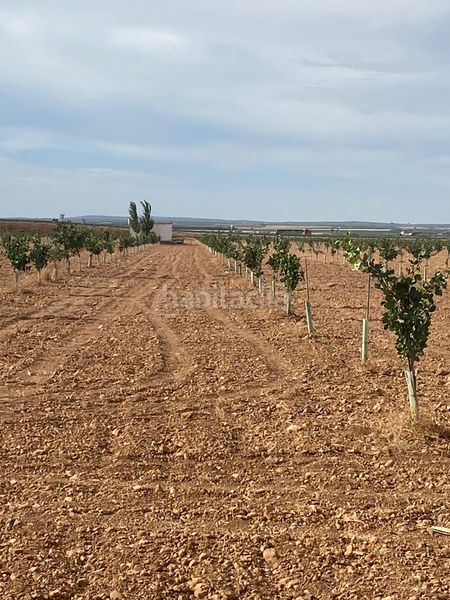 Foto 3fc3c6a1-a750-4592-be83-0095987c7249. Finca rústica a Tomelloso