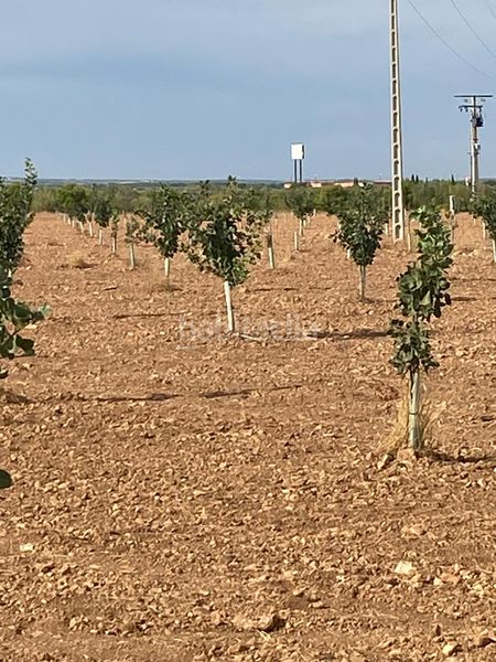 Foto 4b2dcf6d-daee-4bb0-8767-16811980a384. Finca rústica a Tomelloso