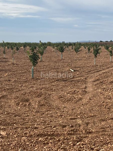 Foto a75ef0ba-ebd7-447e-83e5-5ff6b02587fa. Finca rústica a Tomelloso