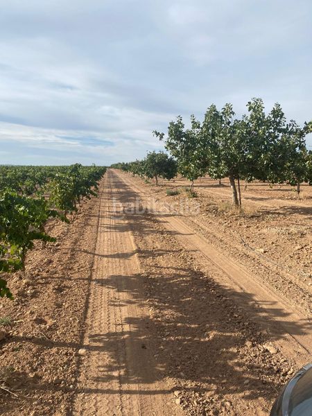 Foto 5f361314-1856-4921-9823-d1b922f238fc. Finca rústica a Tomelloso