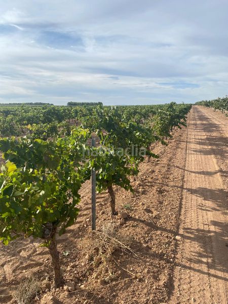 Foto 72541609-35c1-44d9-9b8b-afcbb21b71cc. Finca rústica a Tomelloso