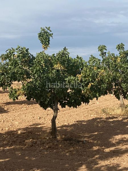 Foto ab2d41a0-b6bf-44a8-9ffe-64b4793c18e5. Finca rústica a Tomelloso