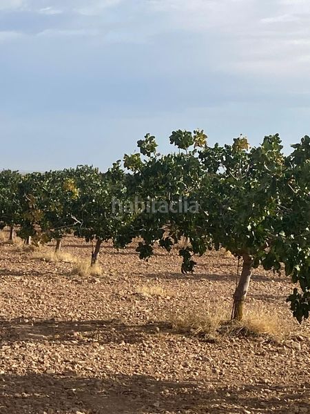 Foto b6401ea5-badf-465e-b1b6-ee5a5c4ee0af. Finca rústica a Tomelloso