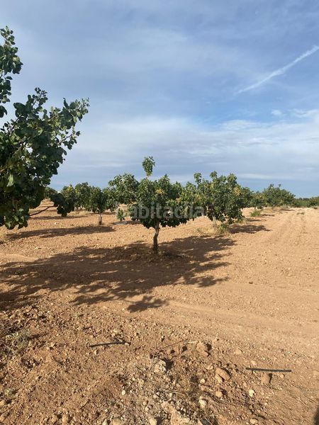 Foto da08079a-71b3-4822-9e88-992043958532. Finca rústica a Tomelloso