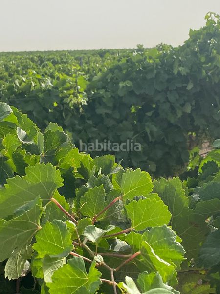 Foto 028c9802-ba67-4d22-9822-fe45f6ebf3a4. Finca rústica a Tomelloso