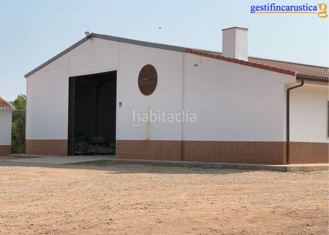 Foto 1656a452-8745-4eeb-8bf3-3cb4312b636d. Finca rústica a Tomelloso