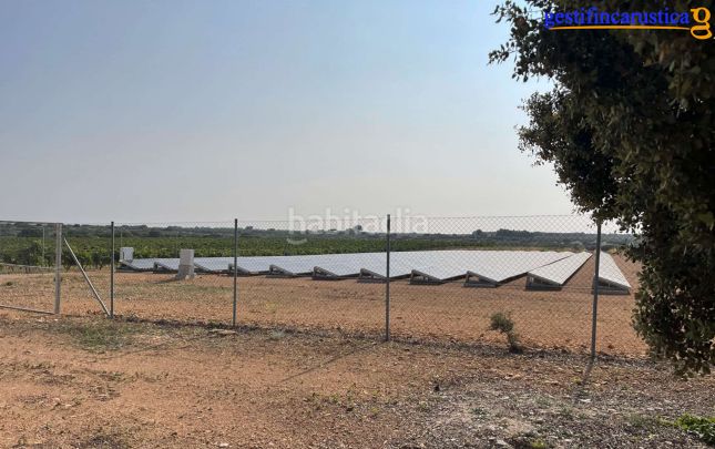 Foto 1f729b38-0b2f-4b65-9636-0f05d26876b2. Finca rústica a Tomelloso
