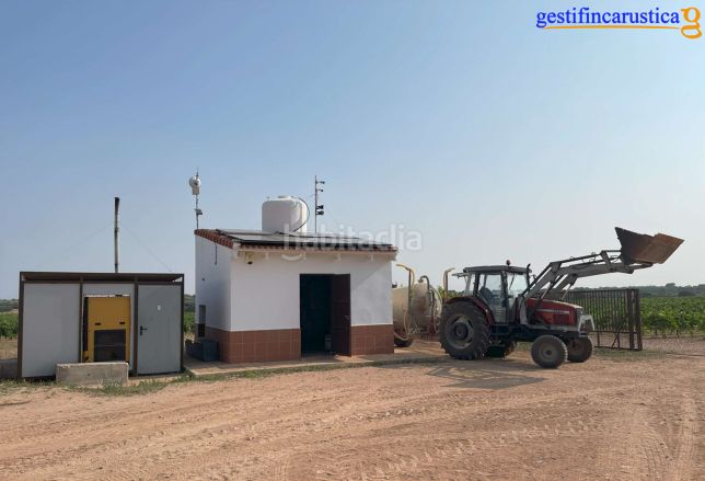 Foto 212aef37-a5d8-45ab-af26-518fa9ad0513. Finca rústica a Tomelloso