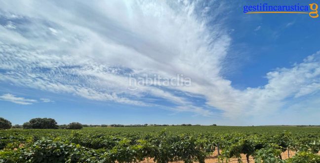 Foto 289cf1a8-e07f-4d79-8d5f-19b155abddfc. Finca rústica a Tomelloso