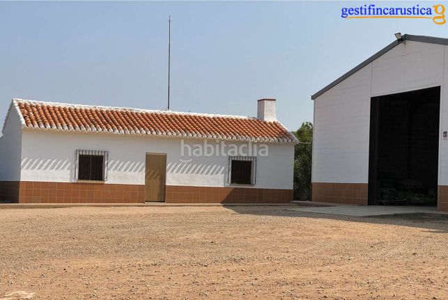 Foto 5b0aa9c8-8b4d-423f-85e3-47900f307b74. Finca rústica a Tomelloso