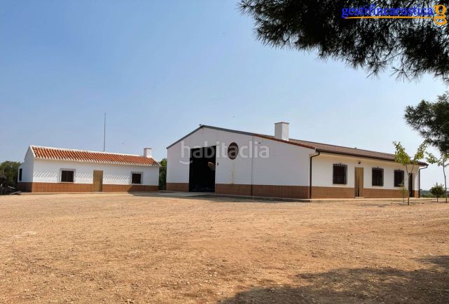 Foto a818de1b-21a9-435d-944f-5fe7392904bb. Finca rústica a Tomelloso