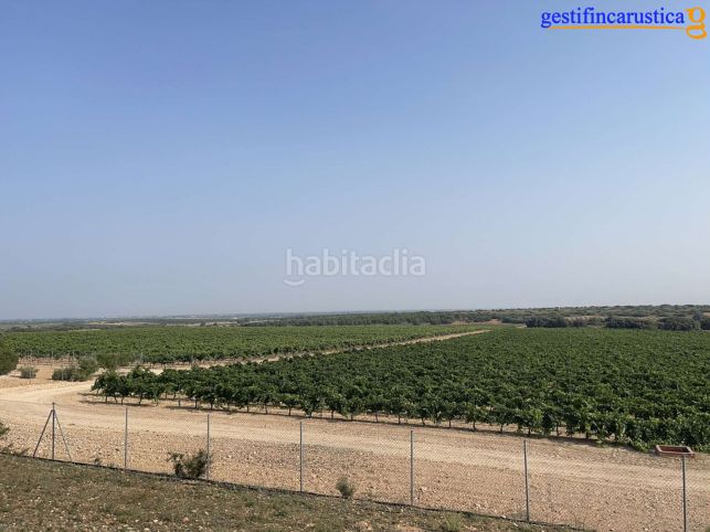 Foto b39670eb-b5c1-4161-86aa-d216904a5d24. Finca rústica a Tomelloso