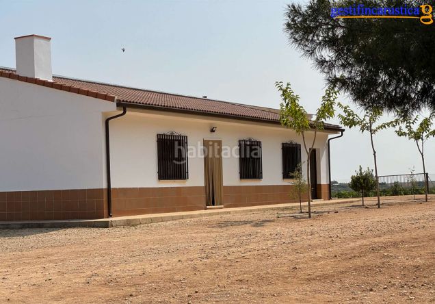 Foto c0fd8923-e207-4fb9-9a5a-ff08e72f7473. Finca rústica a Tomelloso