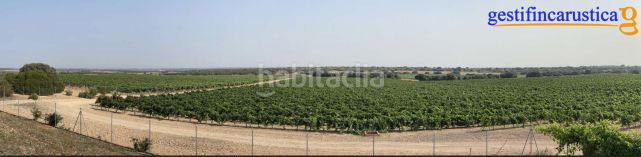Foto e9aa5427-9e4f-43b9-91c9-53c374a5f05b. Finca rústica a Tomelloso