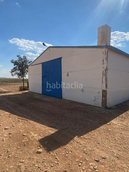 Foto 18f8ca0a-1885-4712-ab8c-50ab6dc36f99. Finca rústica a Socuéllamos