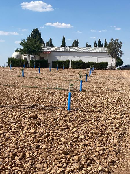 Foto acd6f7a7-ce07-43b2-bd0b-d7b4ec5a26b3. Finca rústica a Socuéllamos
