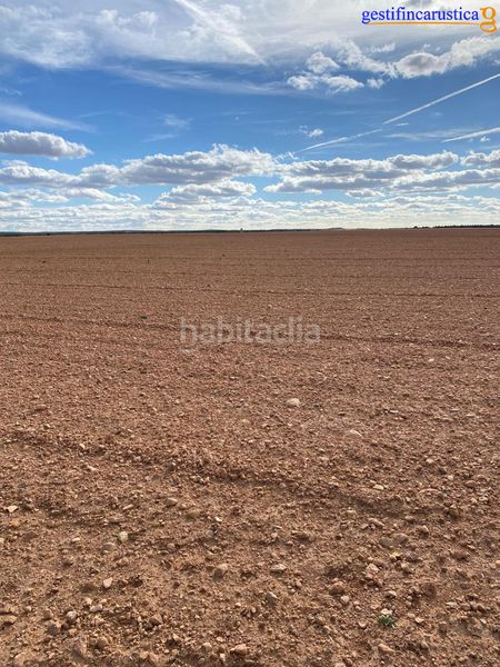 Foto beb5d651-4da2-45a3-928d-5c62194a50e6. Finca rústica a Tomelloso