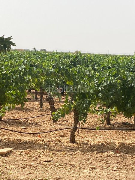 Foto 47fbb569-b128-464d-a1f3-ebbfd3d0db72. Finca rústica a Socuéllamos