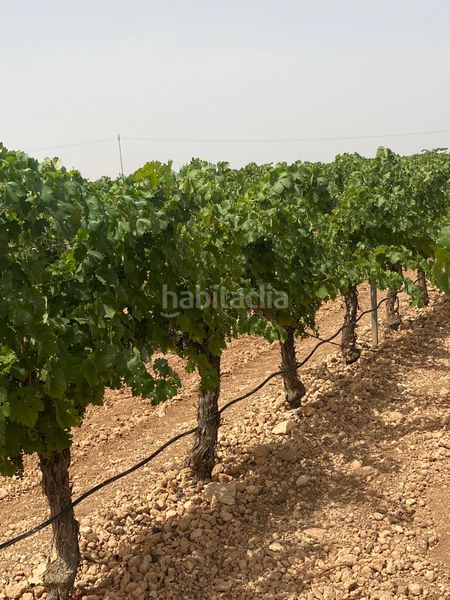 Foto 49fa3395-6dea-4e9b-a376-9e864f482aae. Finca rústica a Socuéllamos