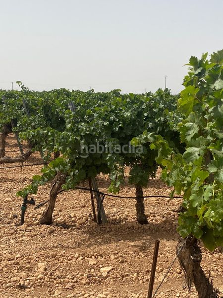 Foto 67d898b8-3c11-4cb1-8838-1442c6fab0ab. Finca rústica a Socuéllamos
