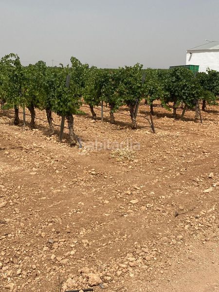 Foto 931a6dfc-5739-437c-b226-d0f9a2009a29. Finca rústica a Socuéllamos