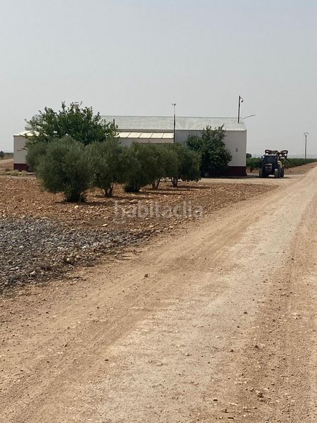 Foto b4faf6b8-8ccb-4b67-b4ec-814779fc01a8. Finca rústica a Socuéllamos