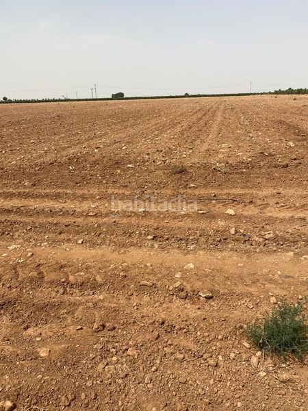 Foto 63308926-61d7-4cd7-9208-d8df07b39081. Finca rústica a Tomelloso